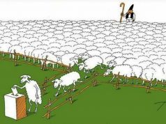 Cuvântul Editorului